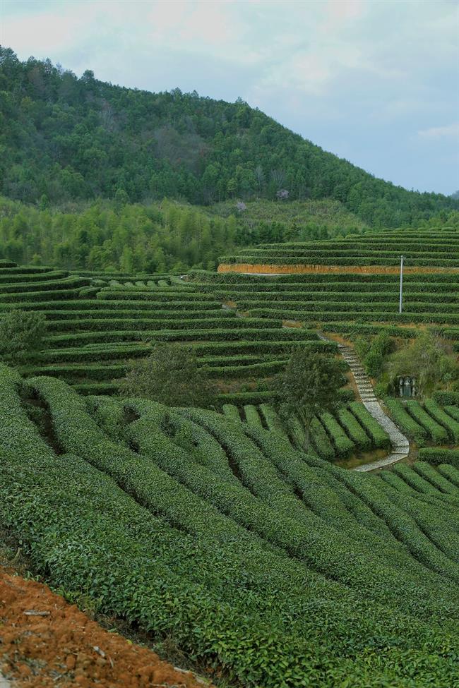 龙泉.jpg